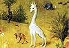 cardini_giraffa_00