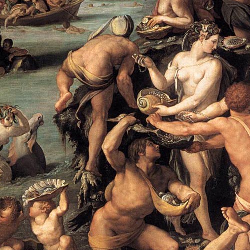 cardini_conchigliaperla_01