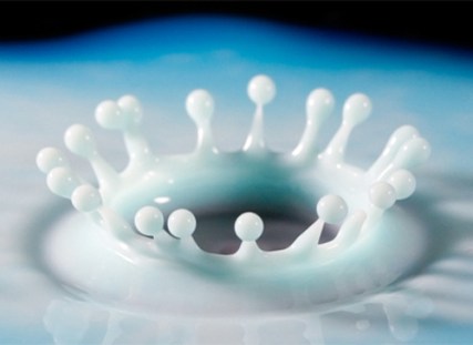 sermonti_biologiastrutturale_04