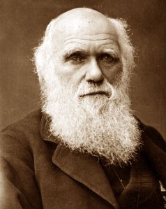 sermonti_entropiaevoluzione_03