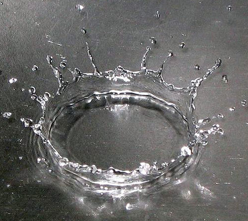 sermonti_entropiaevoluzione_04