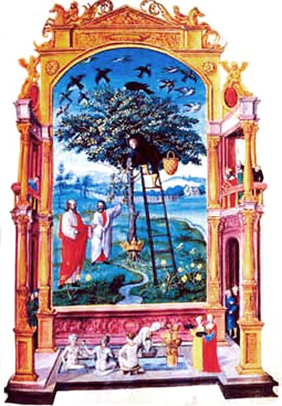 depascalis_linguaggiosegreto_05