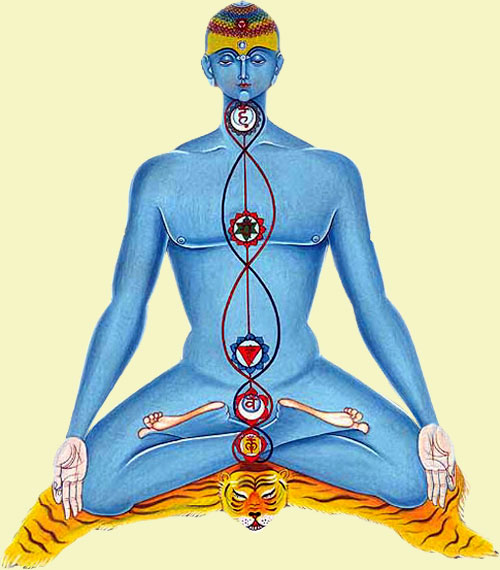 origlia_principiayurveda_02