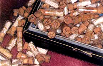 pitera_eppurguarisce_04