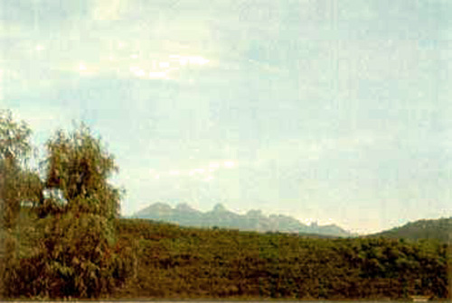 sermonti_biancaneve_08