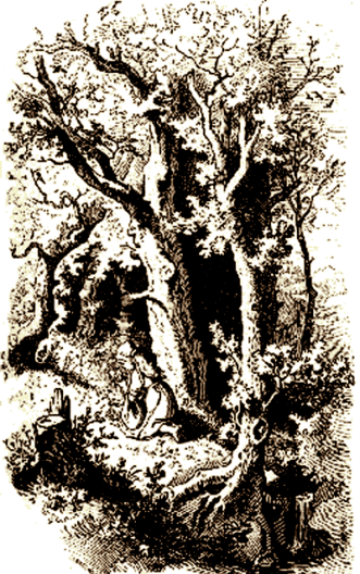 sermonti_cappuccetto_01