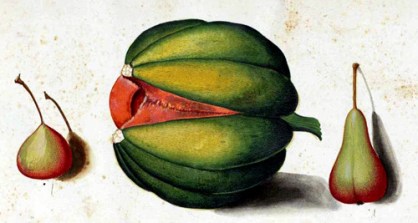 vigoni_donnepiante_01