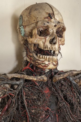 macchine_anatomiche_2