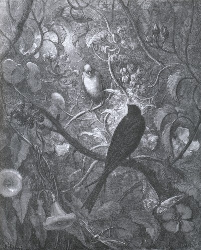 tumblr_l4334n0s881qzhl9eo1_r1_1280